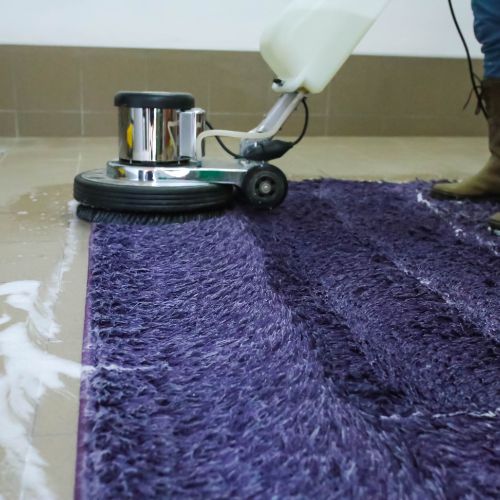 Carpet Cleaning Houston, TX